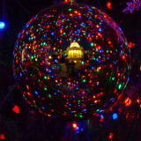 Capitol Reflection at Christmas