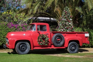 red ford truck, christmas, flora farms, Baja California Sur, Los Cabos,mexico, arts, art scene, san jose del cabo, travel photography, culture, lesbian photographer