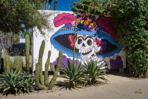 skeleton and cactus, Baja California Sur, Los Cabos,mexico, arts, art scene, san jose del cabo, travel photography, culture, lesbian photographer