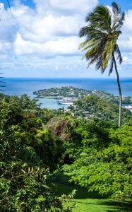 view, castries, palm tree, caribbean, island, vacation, holiday, honeymoon, lesser antilles, english speaking, beautiful, volcanic island, travel blog, travel, tourism, travel photography, castries