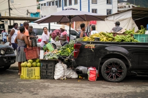 Pickup-truck-market-Castries-Saint-Lucia-4400-