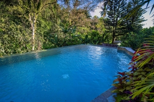 Swimming-pool-jungle-Drive-to-Soufriere-saint-lucia-4551-